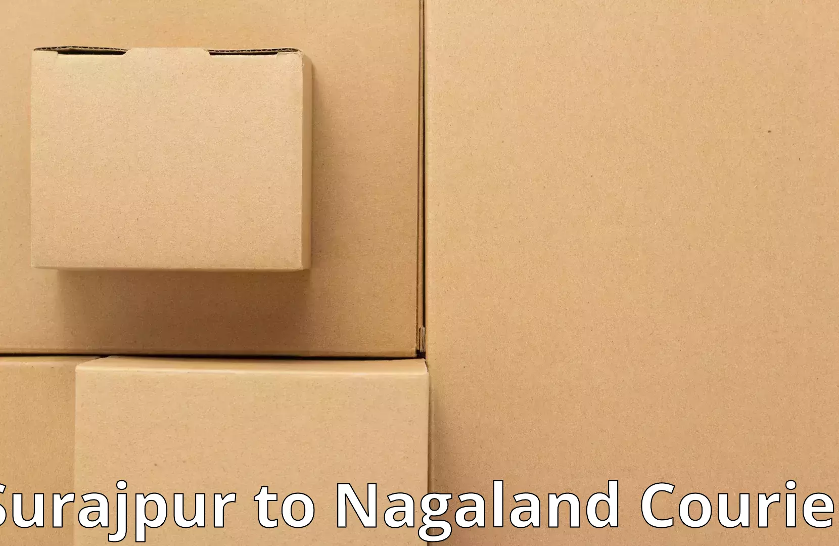 Reliable furniture shifting Surajpur to Nagaland
