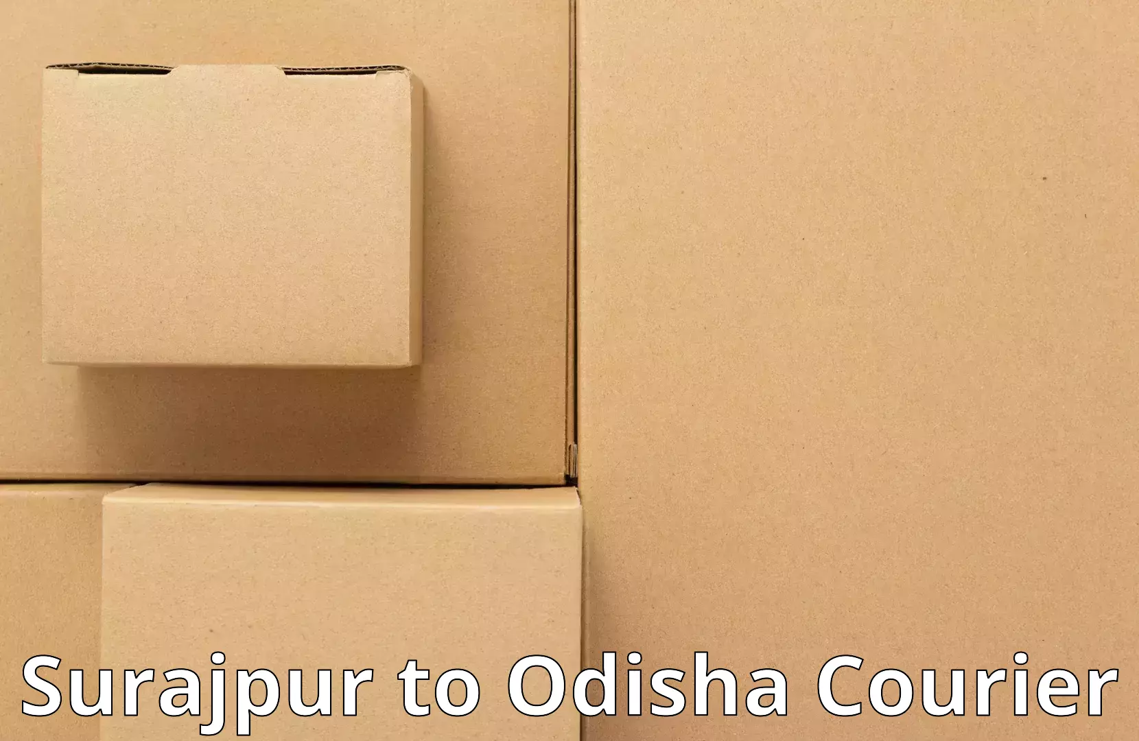 Household goods movers and packers Surajpur to Bhawanipatna