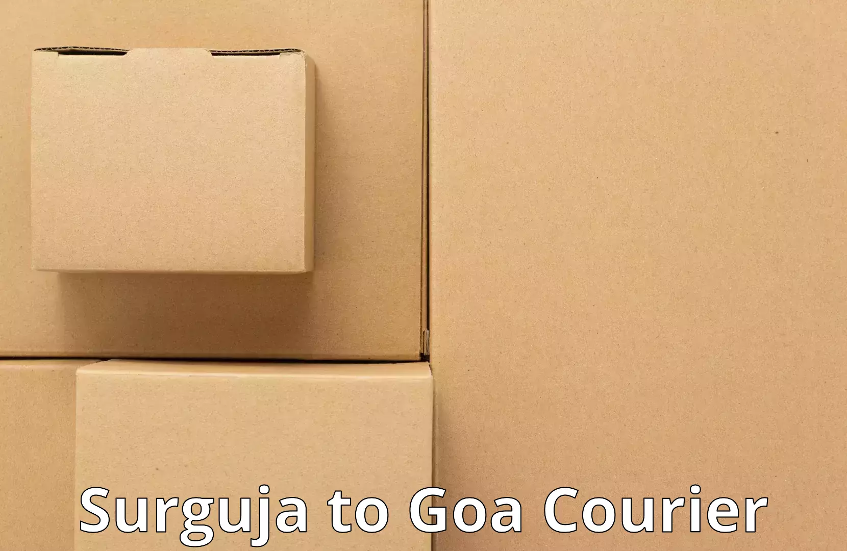 Household goods movers and packers Surguja to Bardez