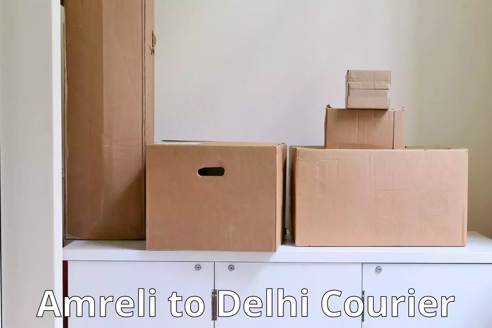 Household goods transporters in Amreli to East Delhi