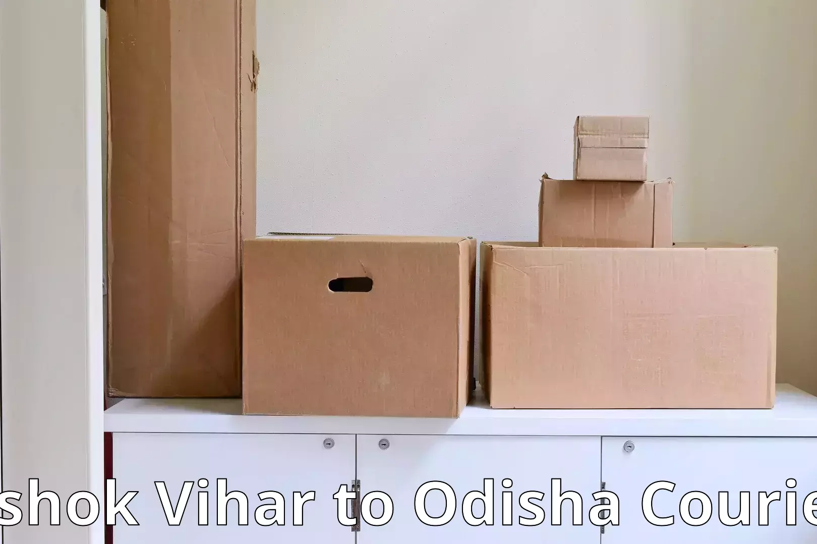 Household goods delivery Ashok Vihar to Boudh