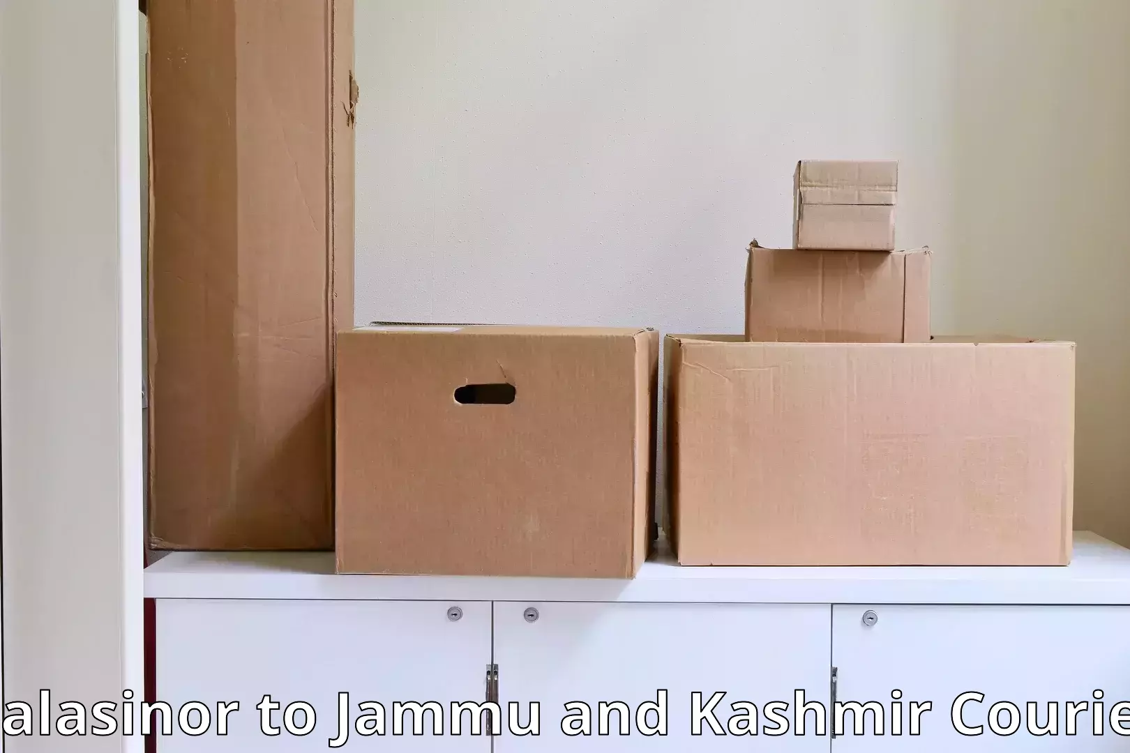 Customized home moving Balasinor to Jammu