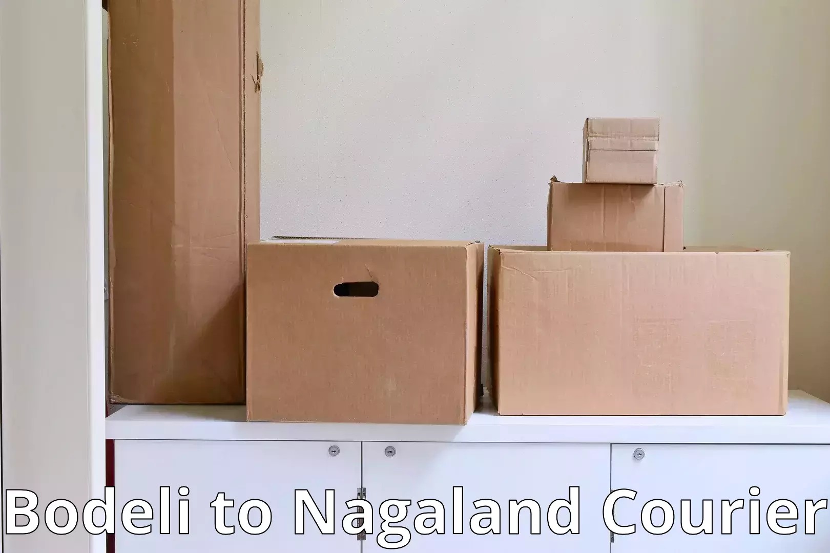 Long-distance household transport Bodeli to Nagaland