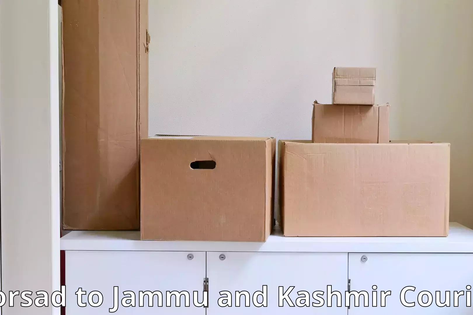 Professional moving company in Borsad to University of Kashmir Srinagar