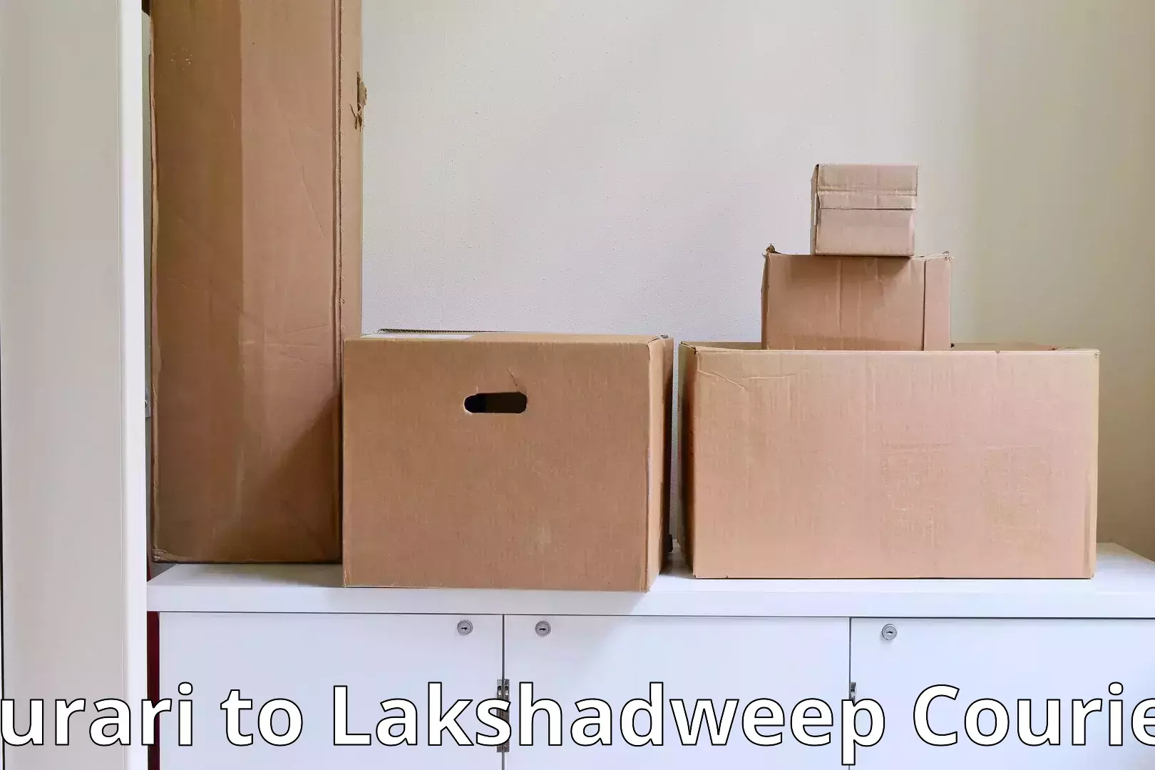 Cost-effective furniture movers Burari to Lakshadweep