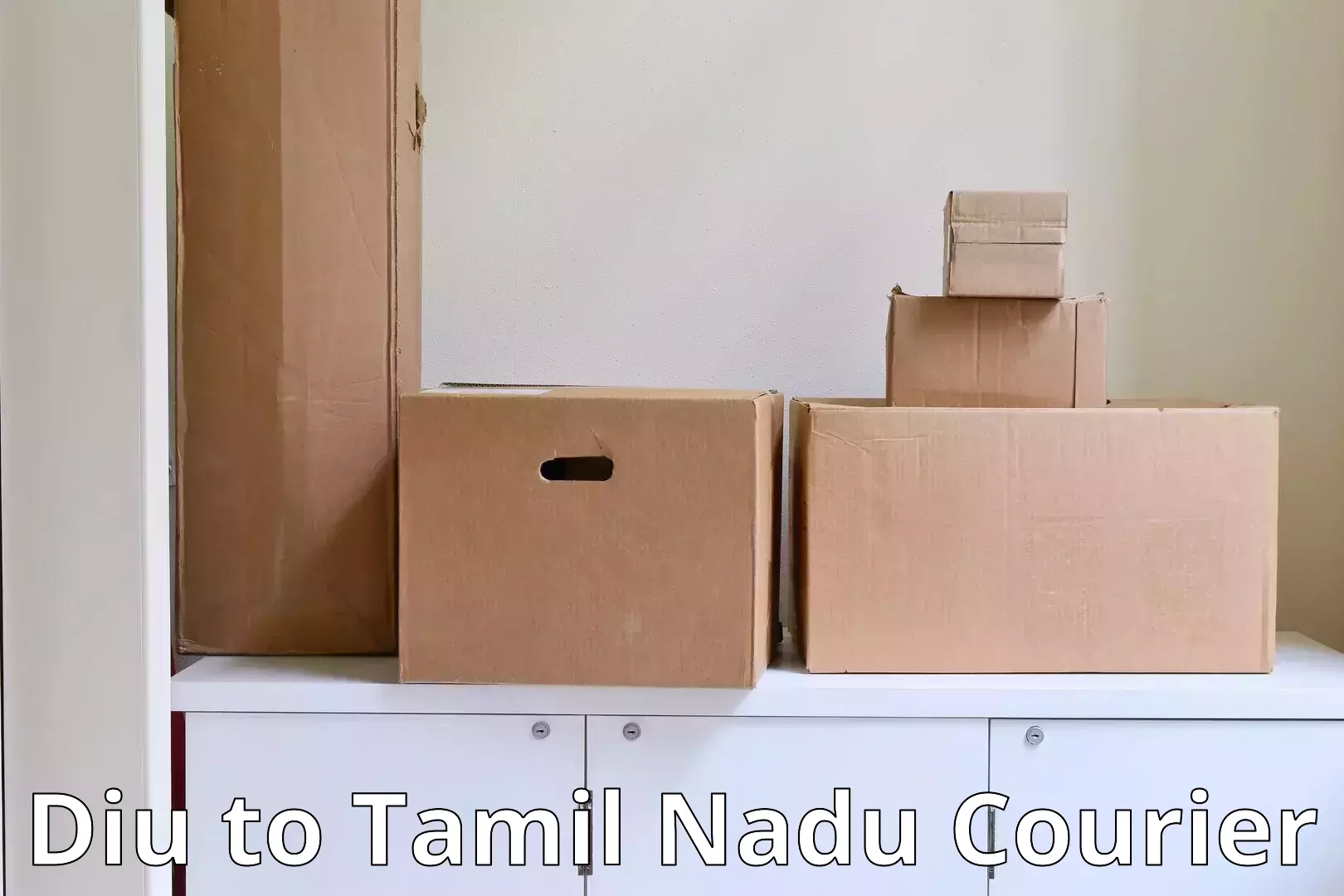 Moving and packing experts Diu to Tamil Nadu