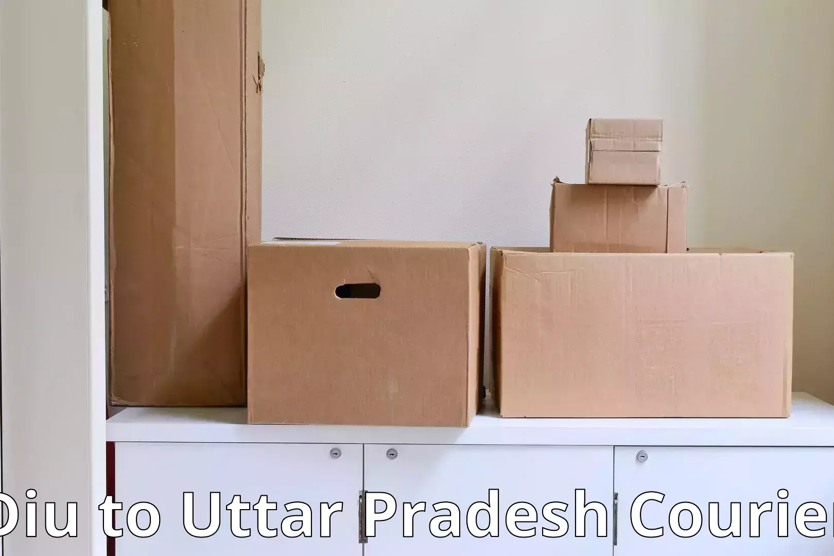 Furniture moving solutions Diu to Mahasi