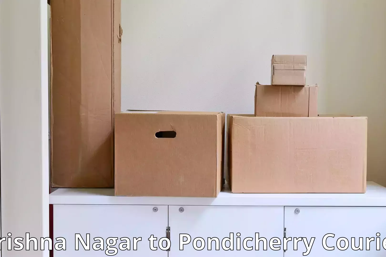 Professional furniture movers Krishna Nagar to Pondicherry University