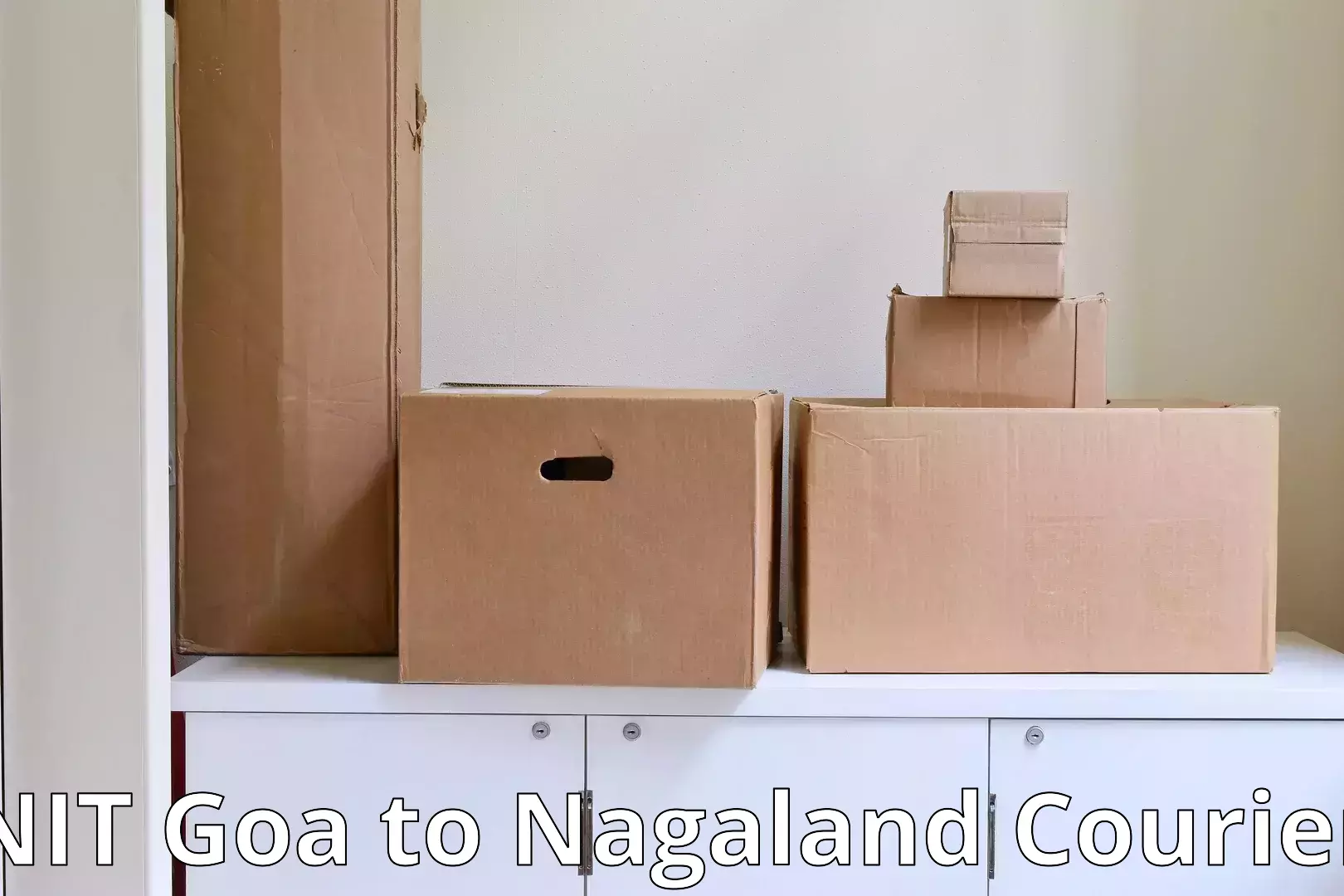 Residential relocation services NIT Goa to Dimapur