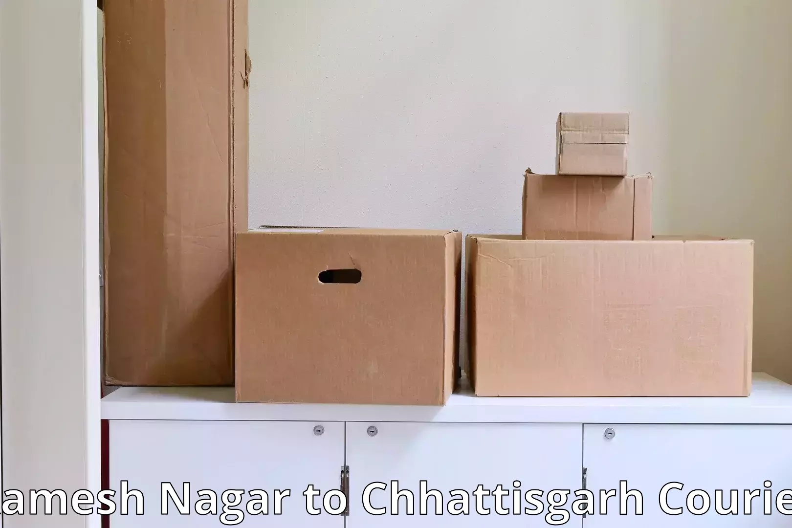 Furniture delivery service Ramesh Nagar to Raigarh Chhattisgarh