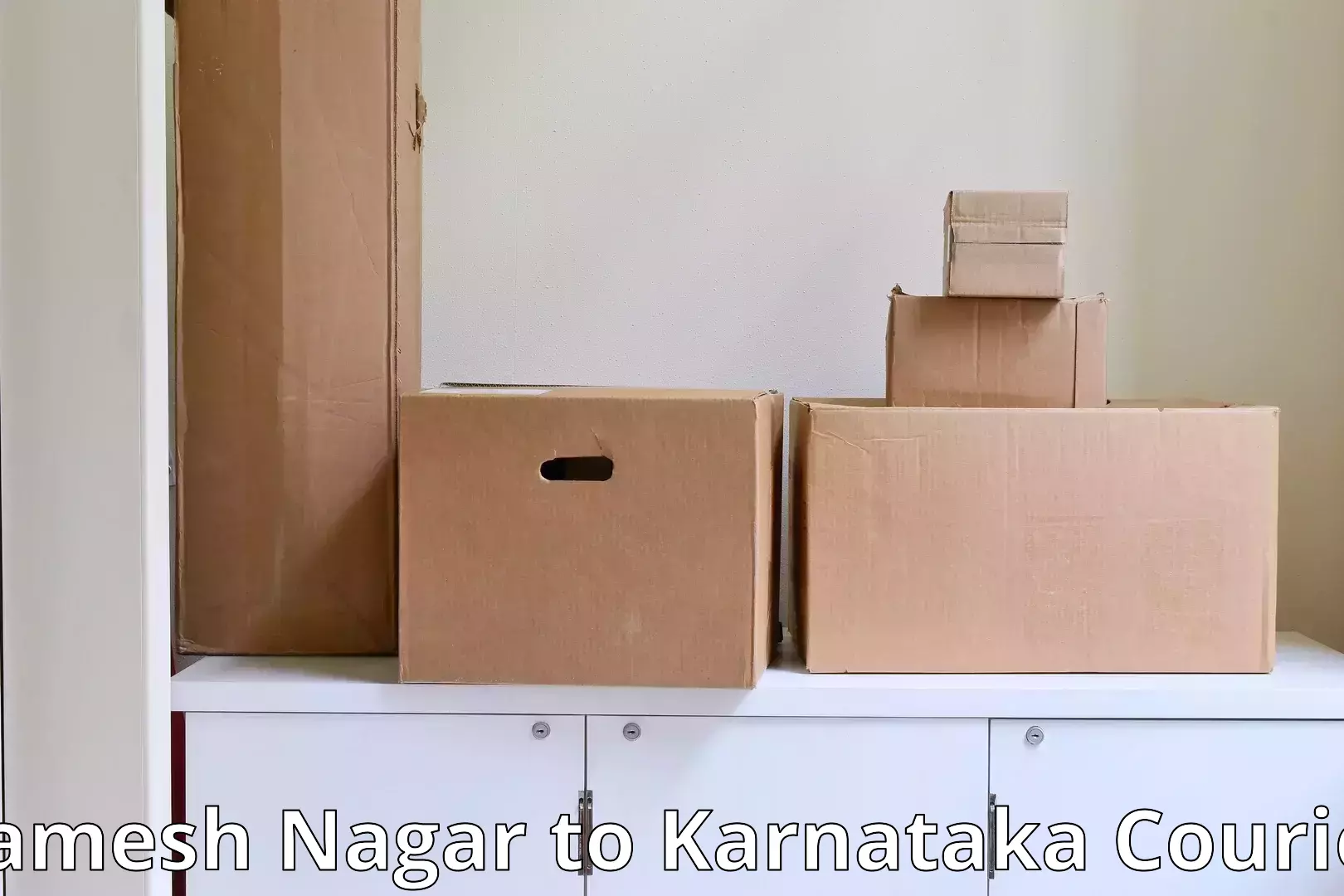 Residential furniture transport Ramesh Nagar to Mangalore Port