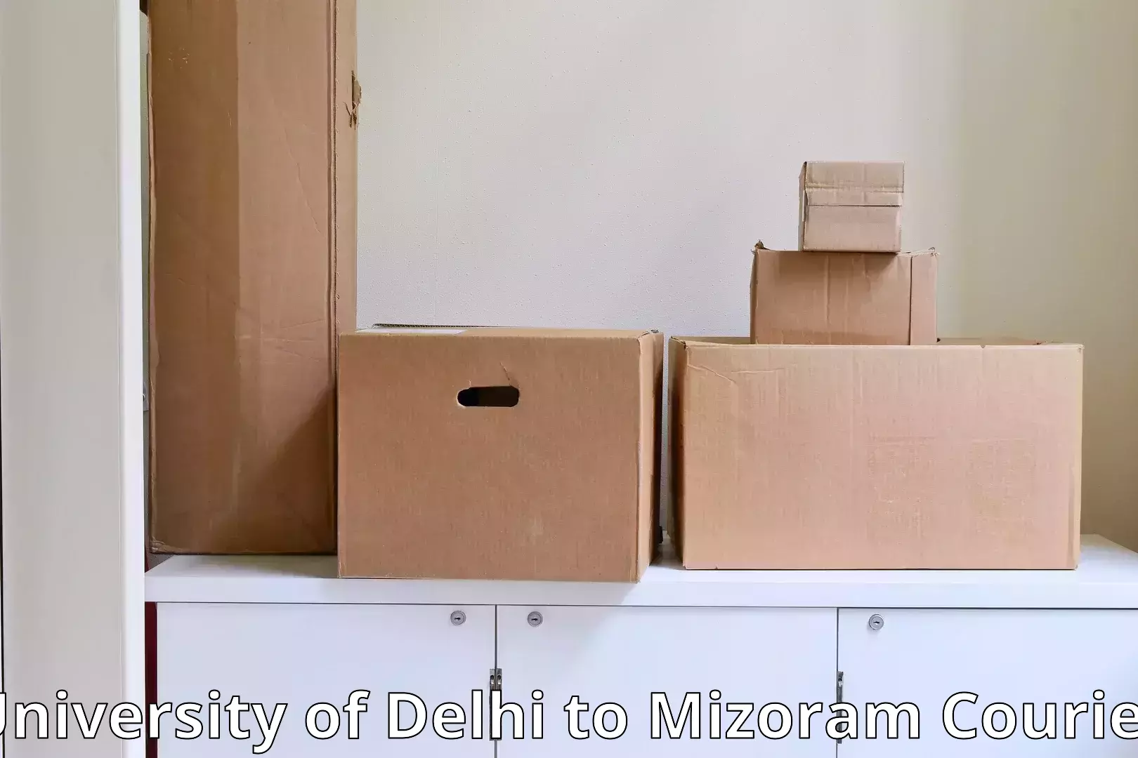 Professional moving company University of Delhi to Mizoram
