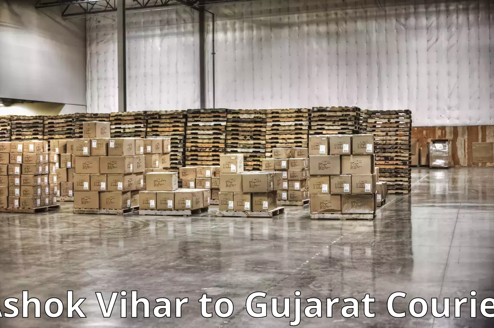 Reliable furniture transport Ashok Vihar to Gujarat