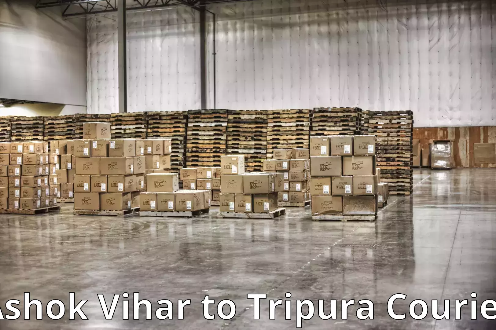 Home furniture relocation Ashok Vihar to Tripura