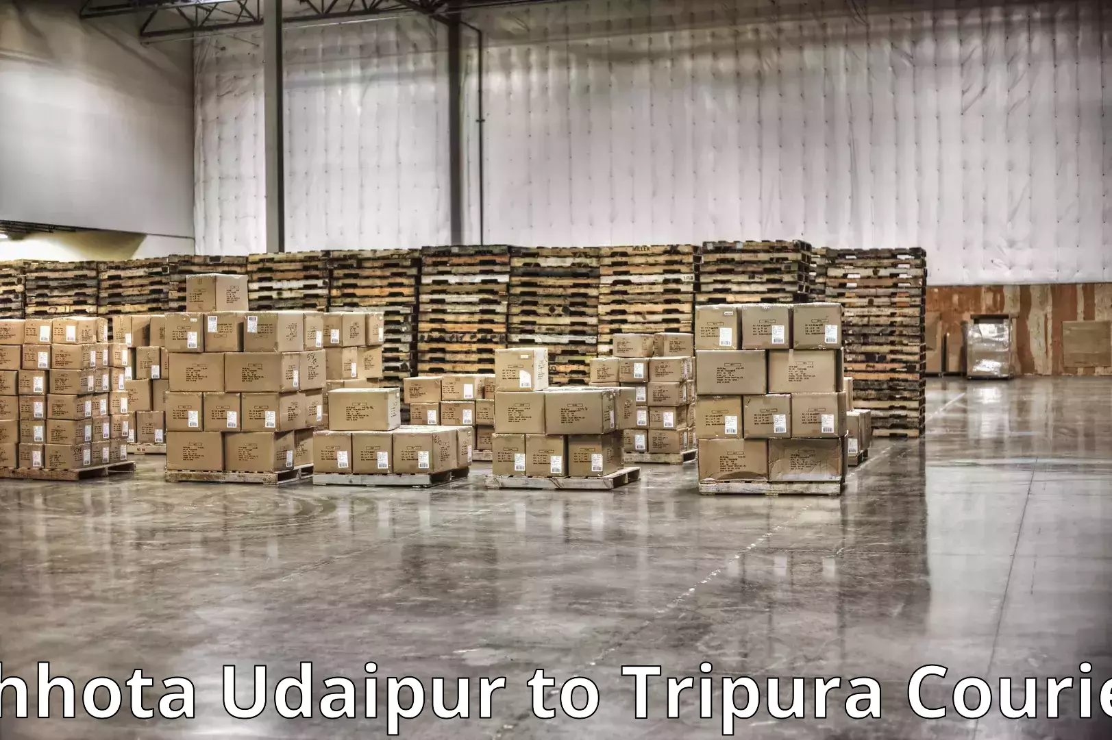 Efficient furniture movers Chhota Udaipur to Teliamura