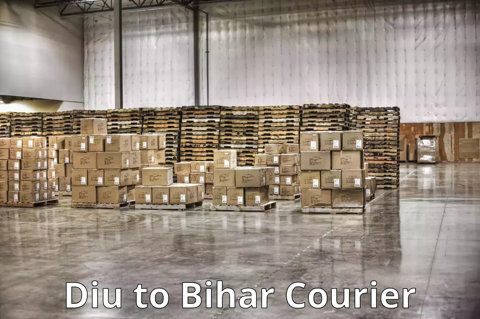 Furniture shipping services Diu to Darbhanga