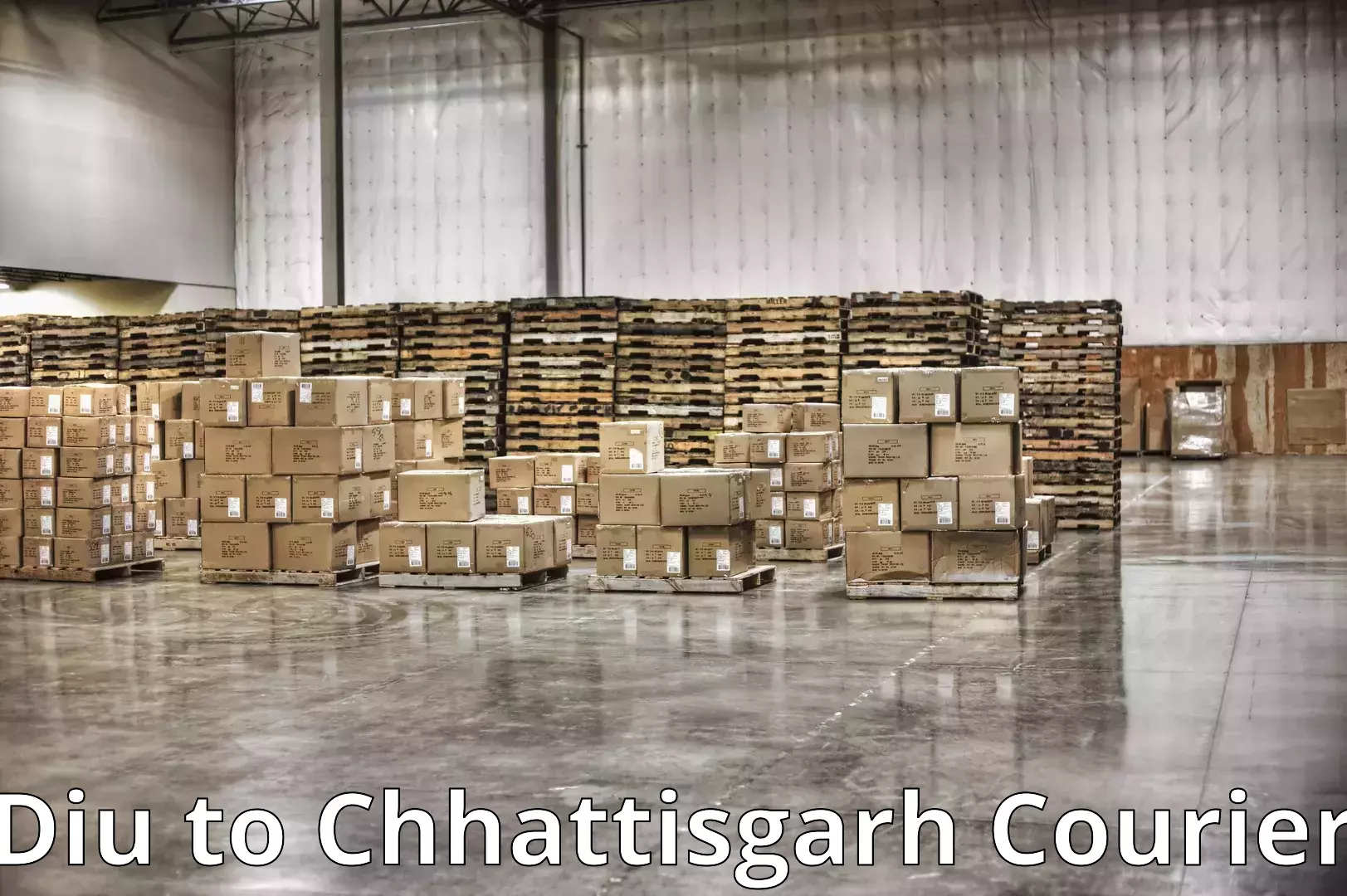 Moving and packing experts Diu to Bhatapara