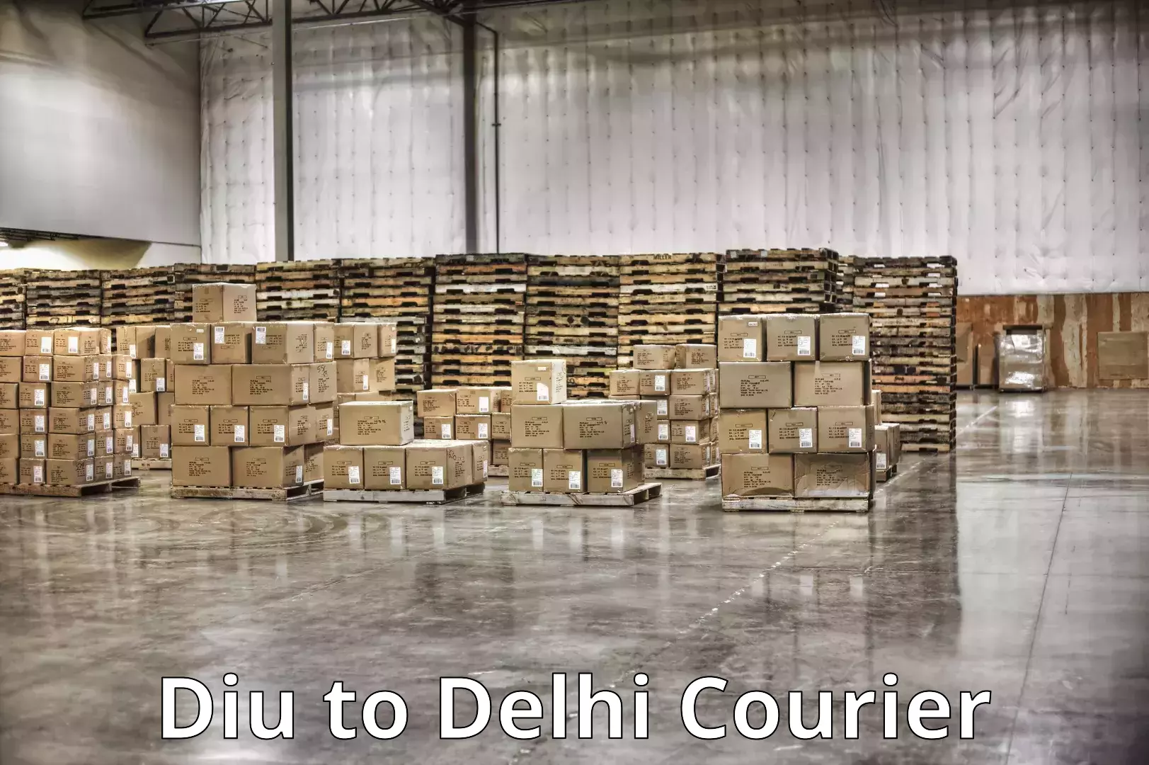 Professional packing services Diu to Naraina Industrial Estate