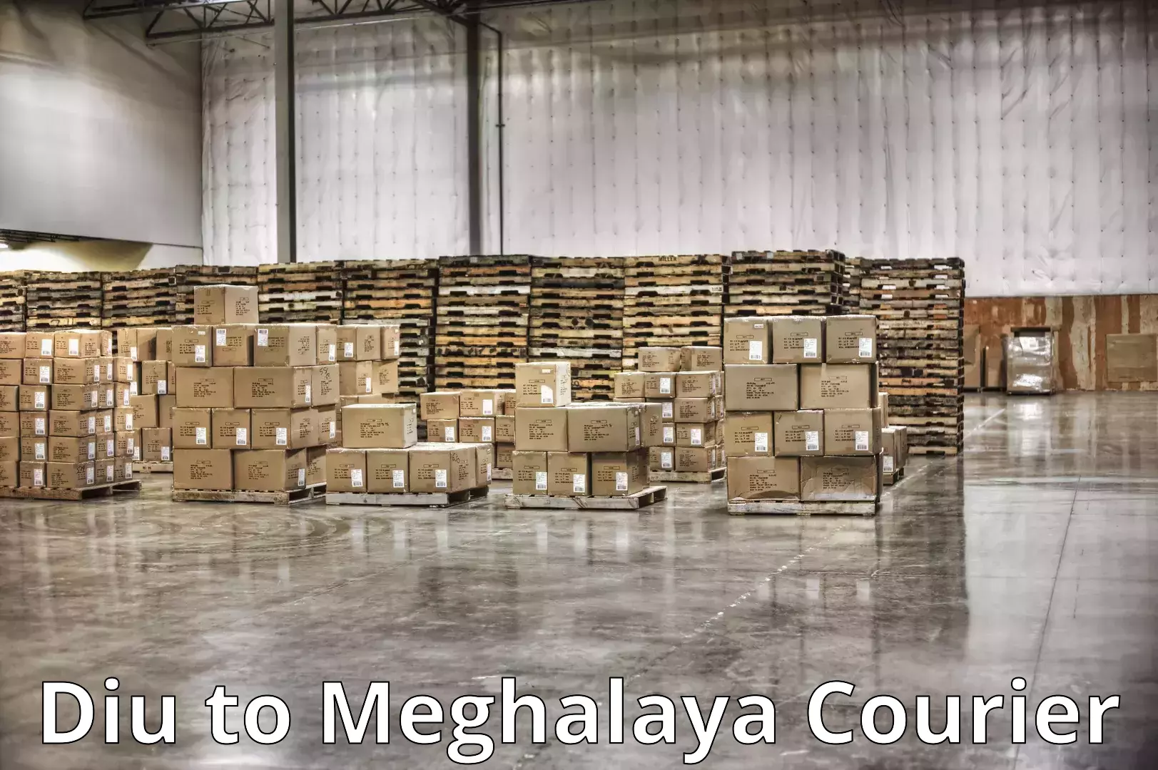 Residential moving experts Diu to NIT Meghalaya