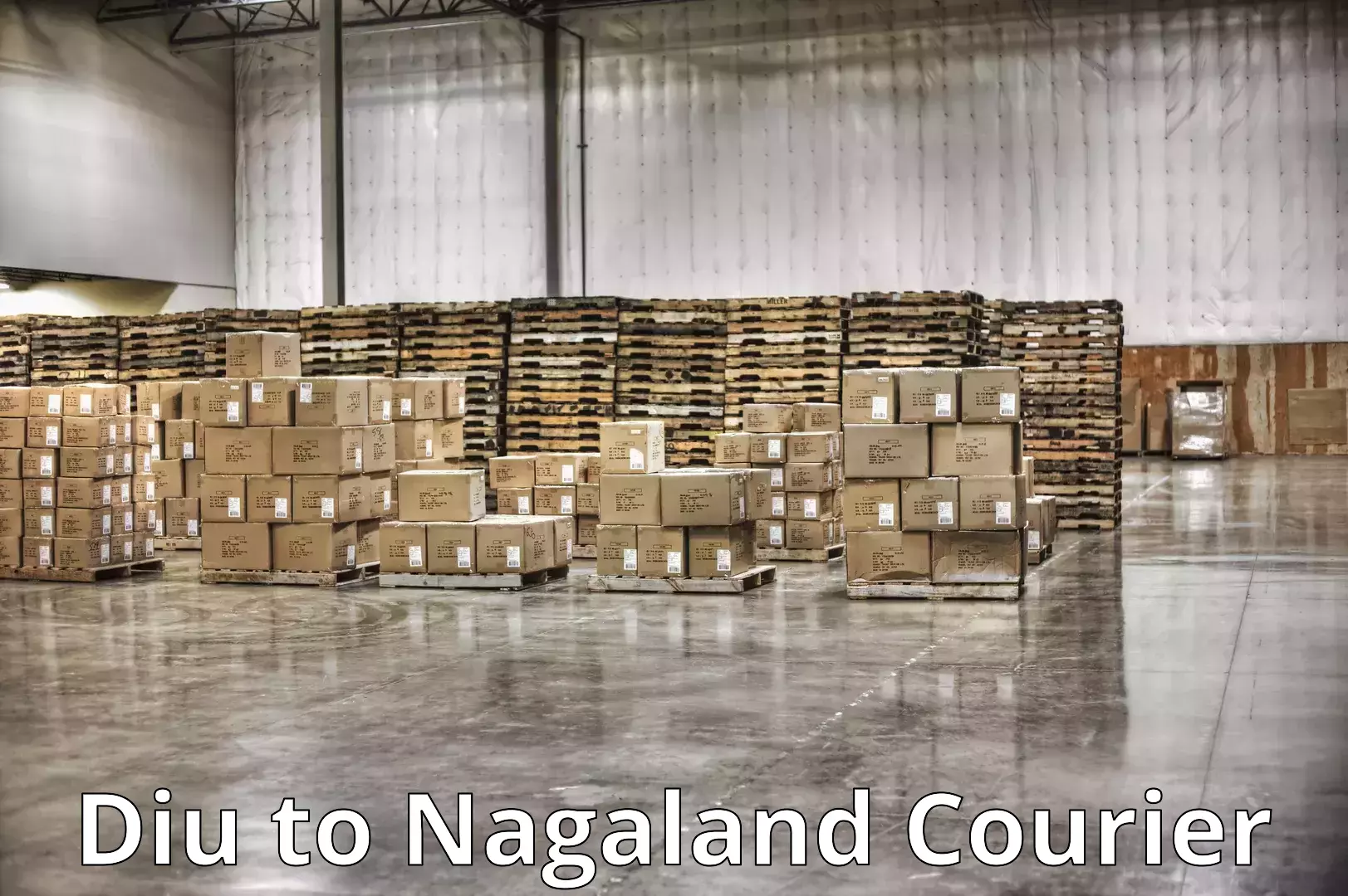 Smooth moving experience Diu to Nagaland