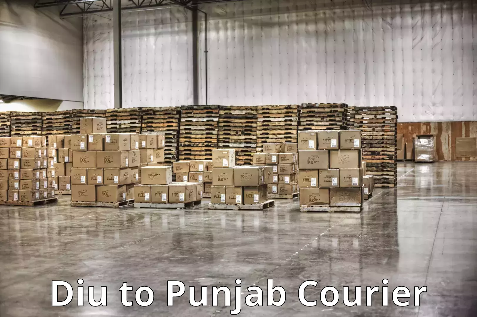 Professional furniture moving Diu to Dhuri