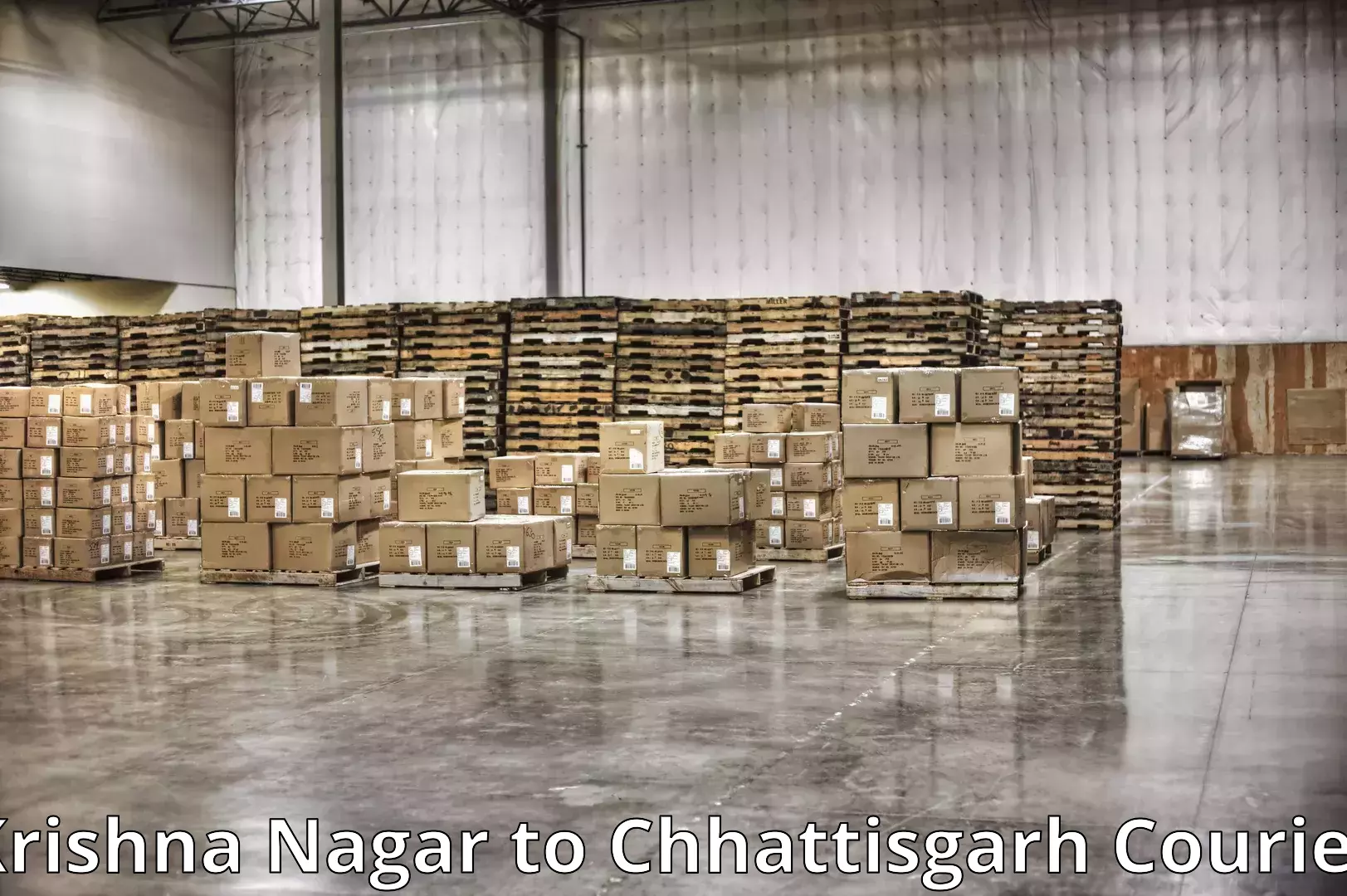 Quality furniture transport Krishna Nagar to Surguja