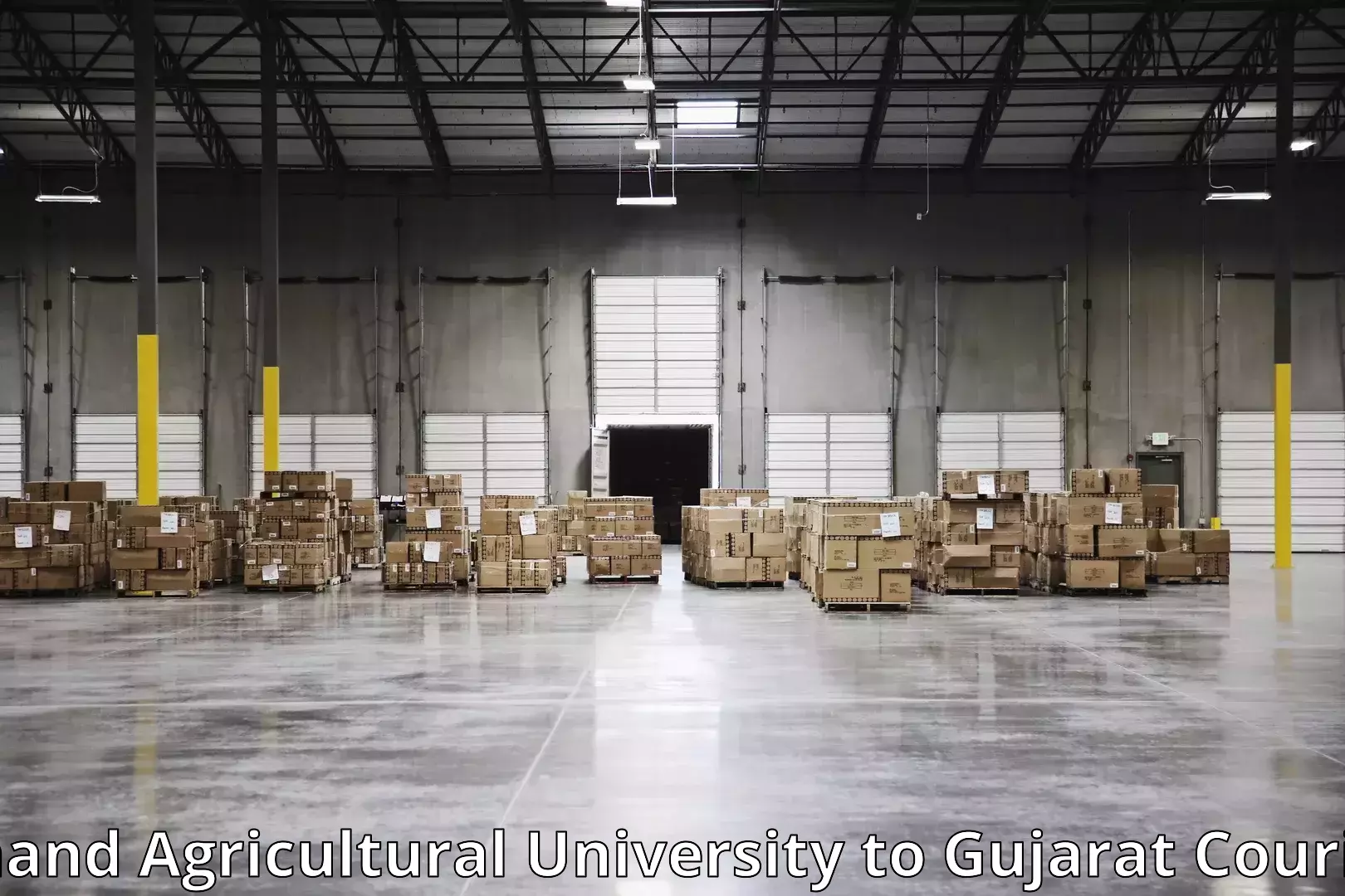 Professional goods transport Anand Agricultural University to Mundra