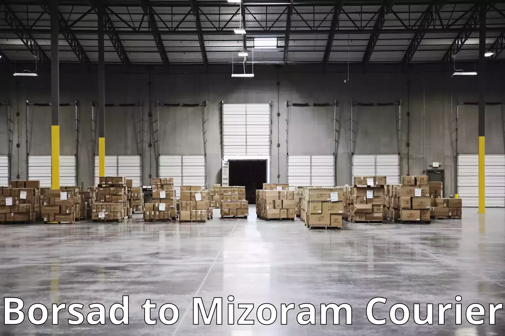 Professional movers Borsad to Mizoram