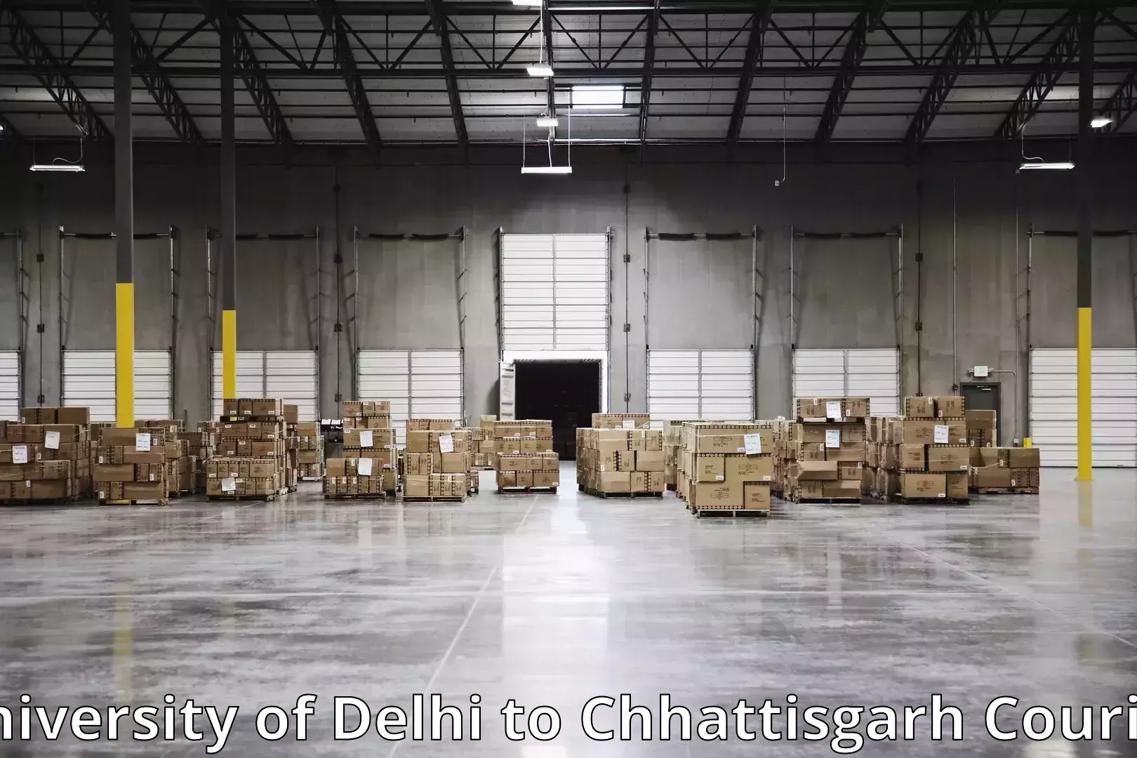 Household goods delivery University of Delhi to Akaltara