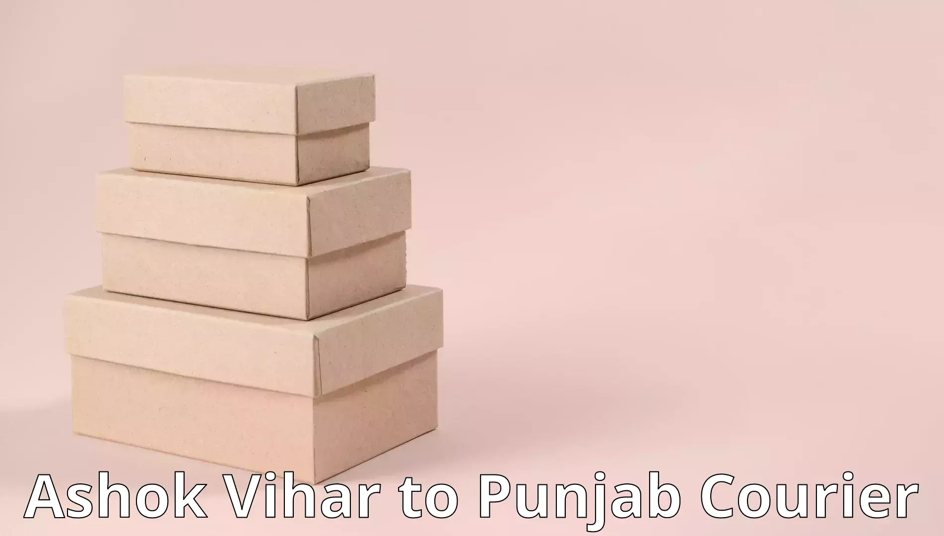 Furniture transport company Ashok Vihar to Punjab