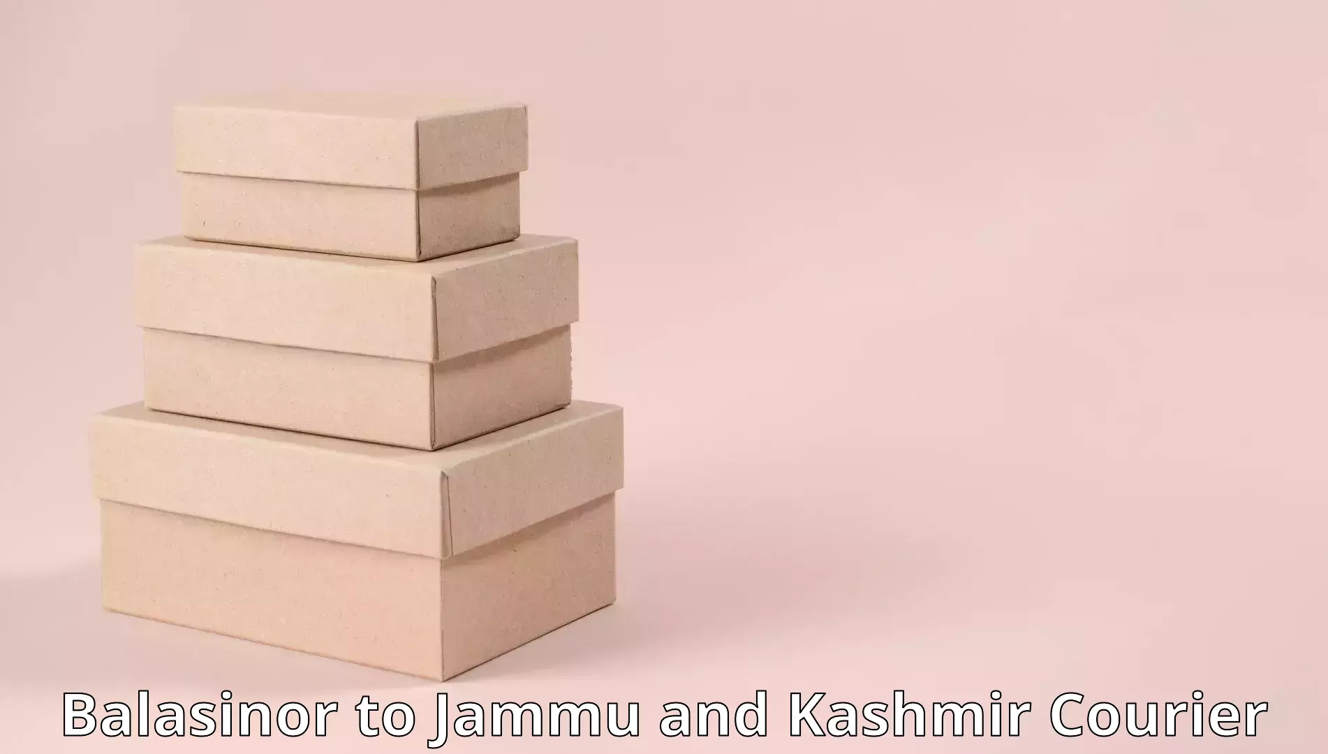 Cost-effective moving solutions Balasinor to Jammu and Kashmir