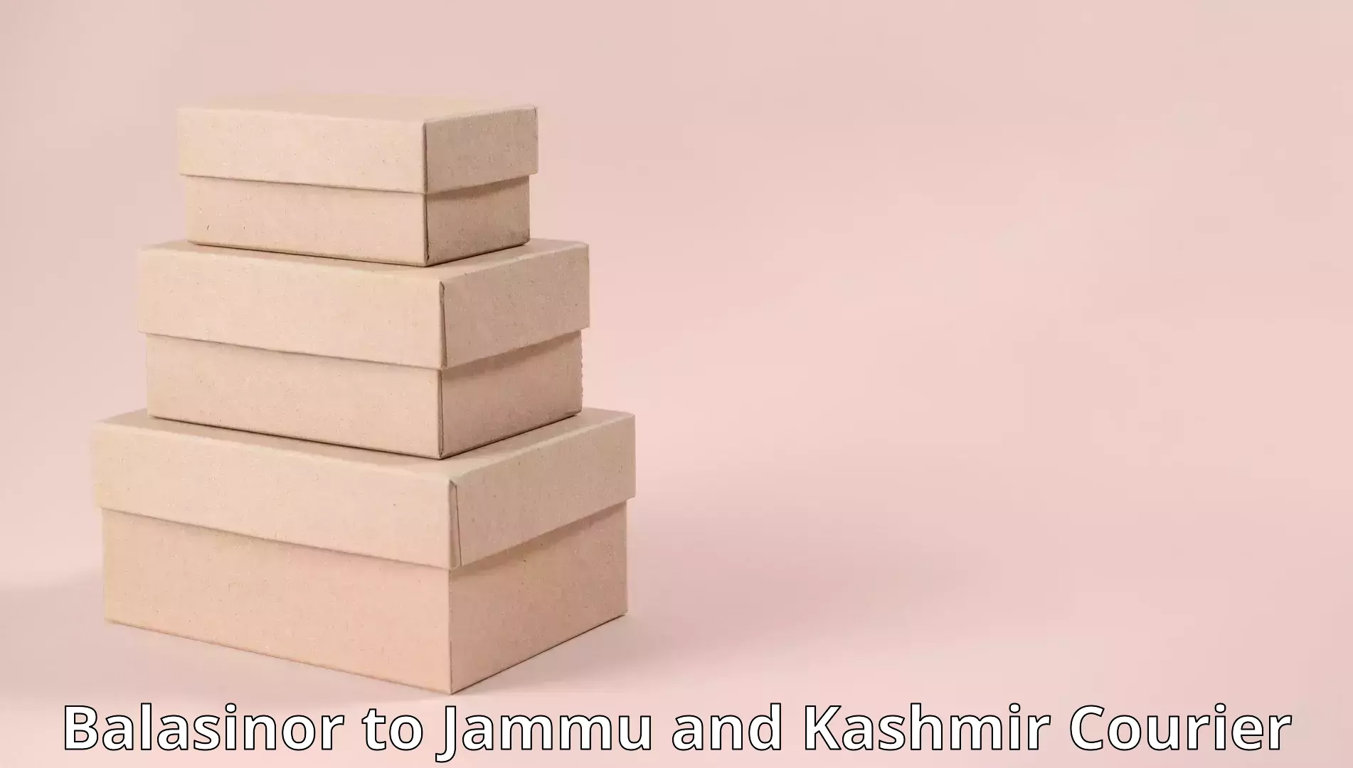 Tailored moving packages Balasinor to Srinagar Kashmir