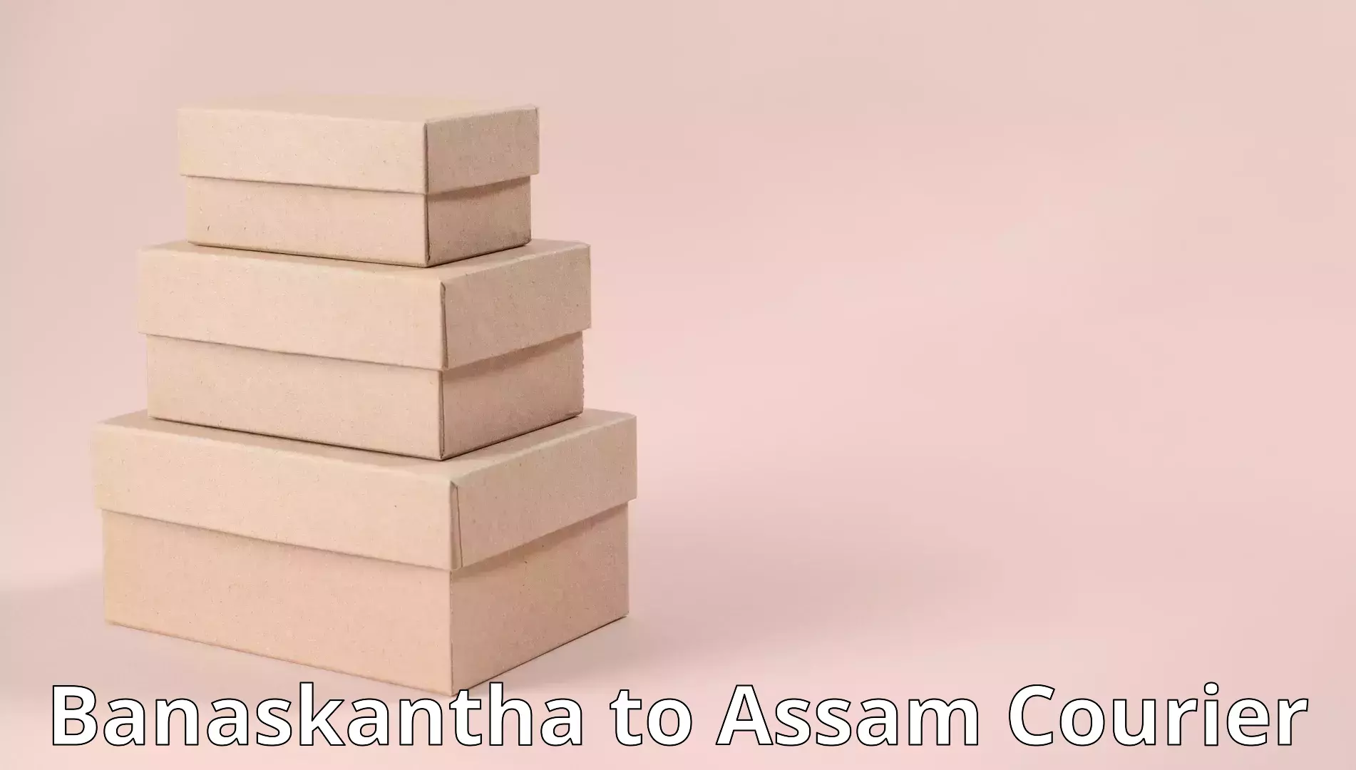 Furniture transport experts Banaskantha to Gauhati University Guwahati