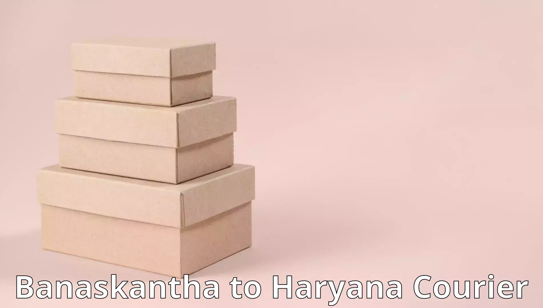 Trusted household movers Banaskantha to Bilaspur Haryana