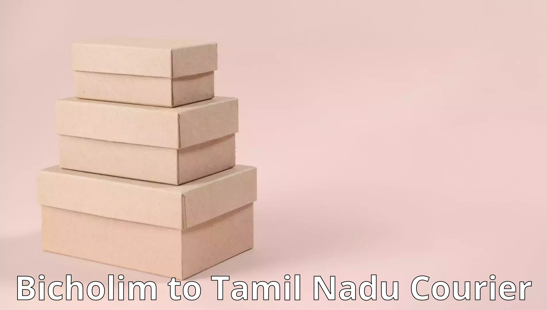 Nationwide household relocation Bicholim to SRM Institute of Science and Technology Chennai