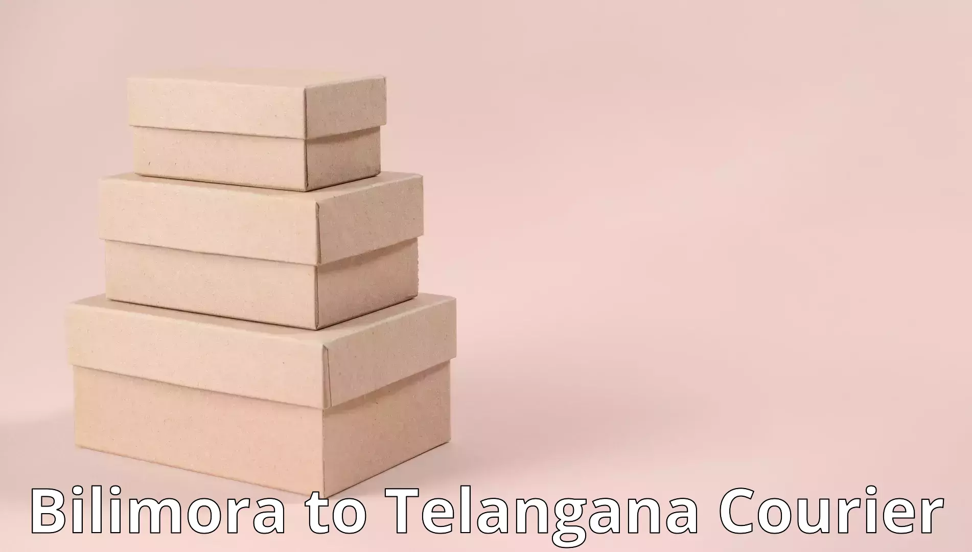 Expert relocation solutions Bilimora to Cherial