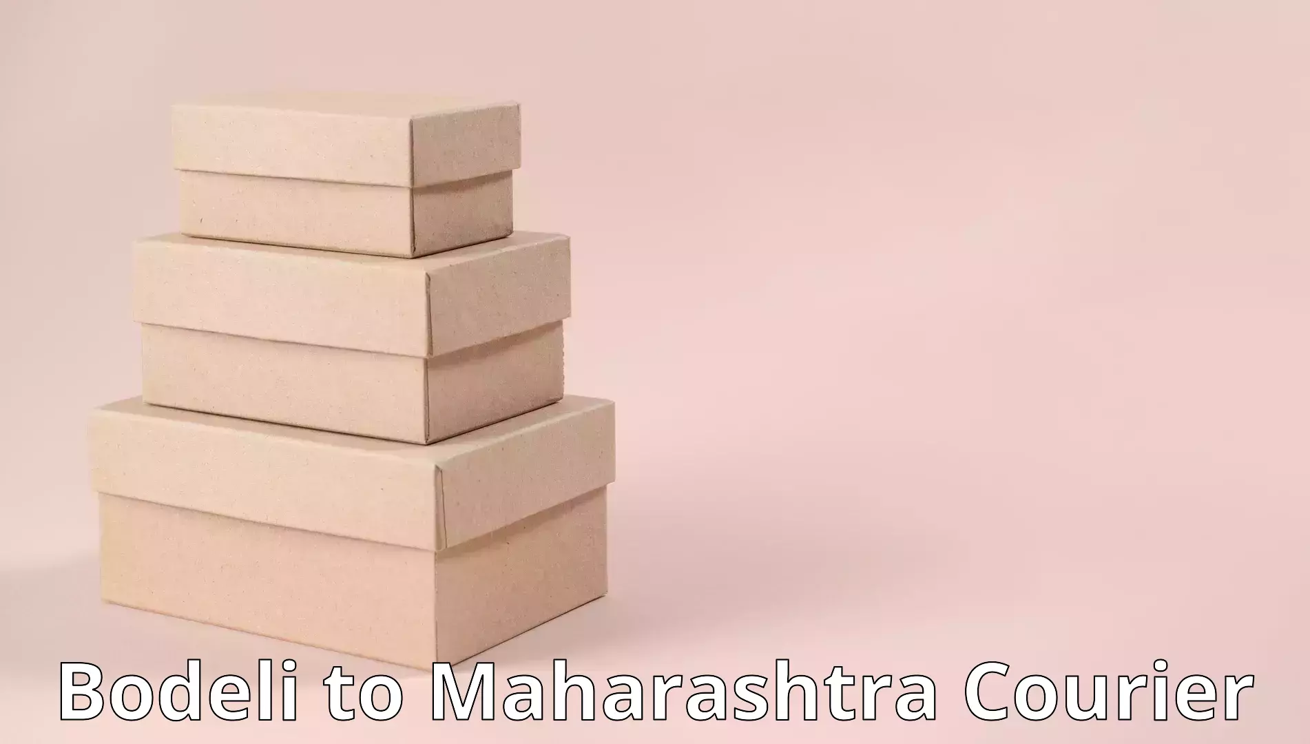 Furniture moving assistance Bodeli to Maharashtra