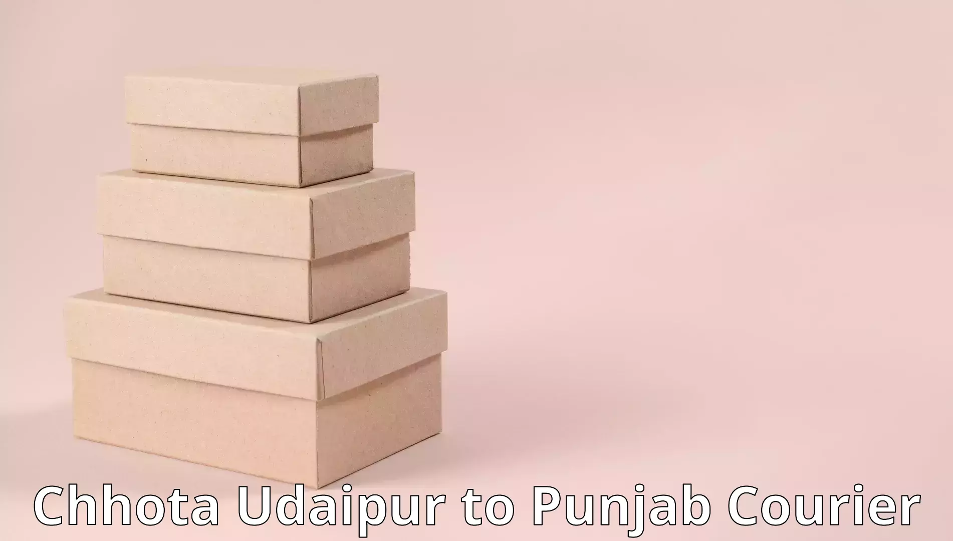 Moving service excellence Chhota Udaipur to Guru Nanak Dev University Amritsar