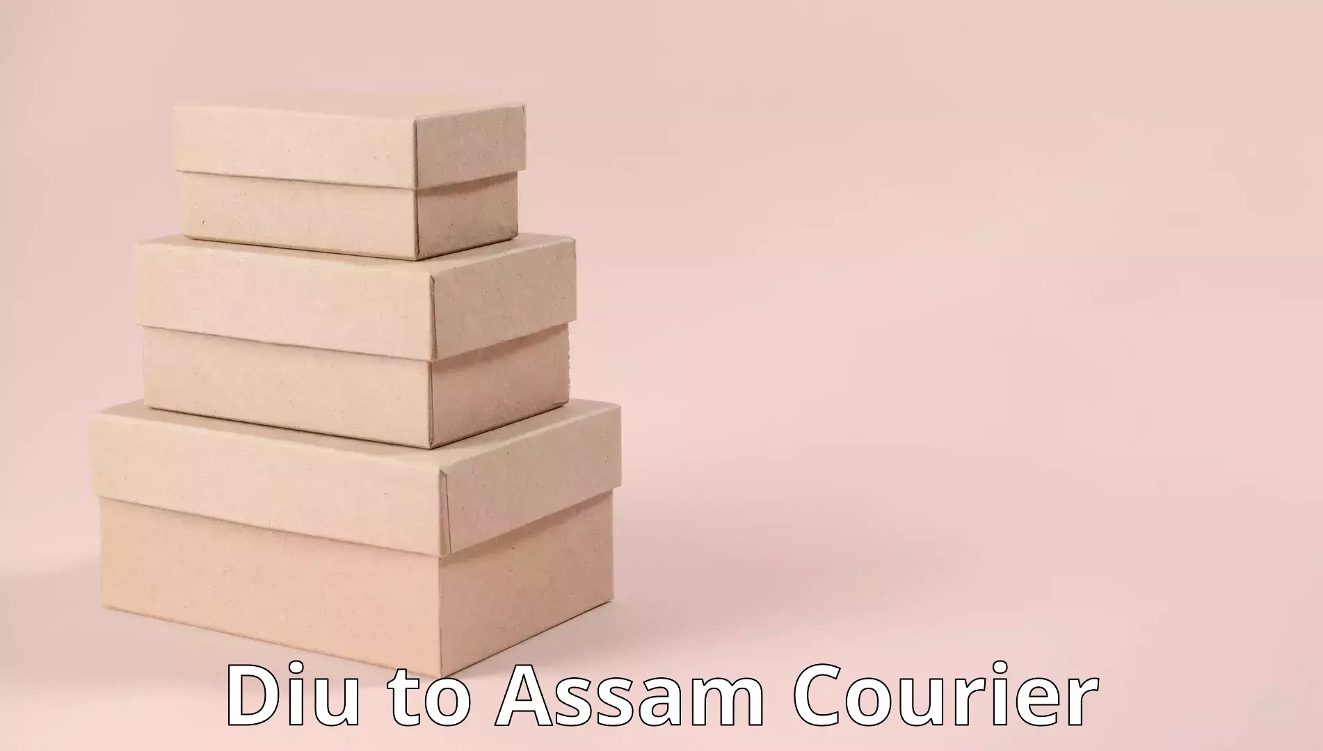 Dependable moving services in Diu to Assam
