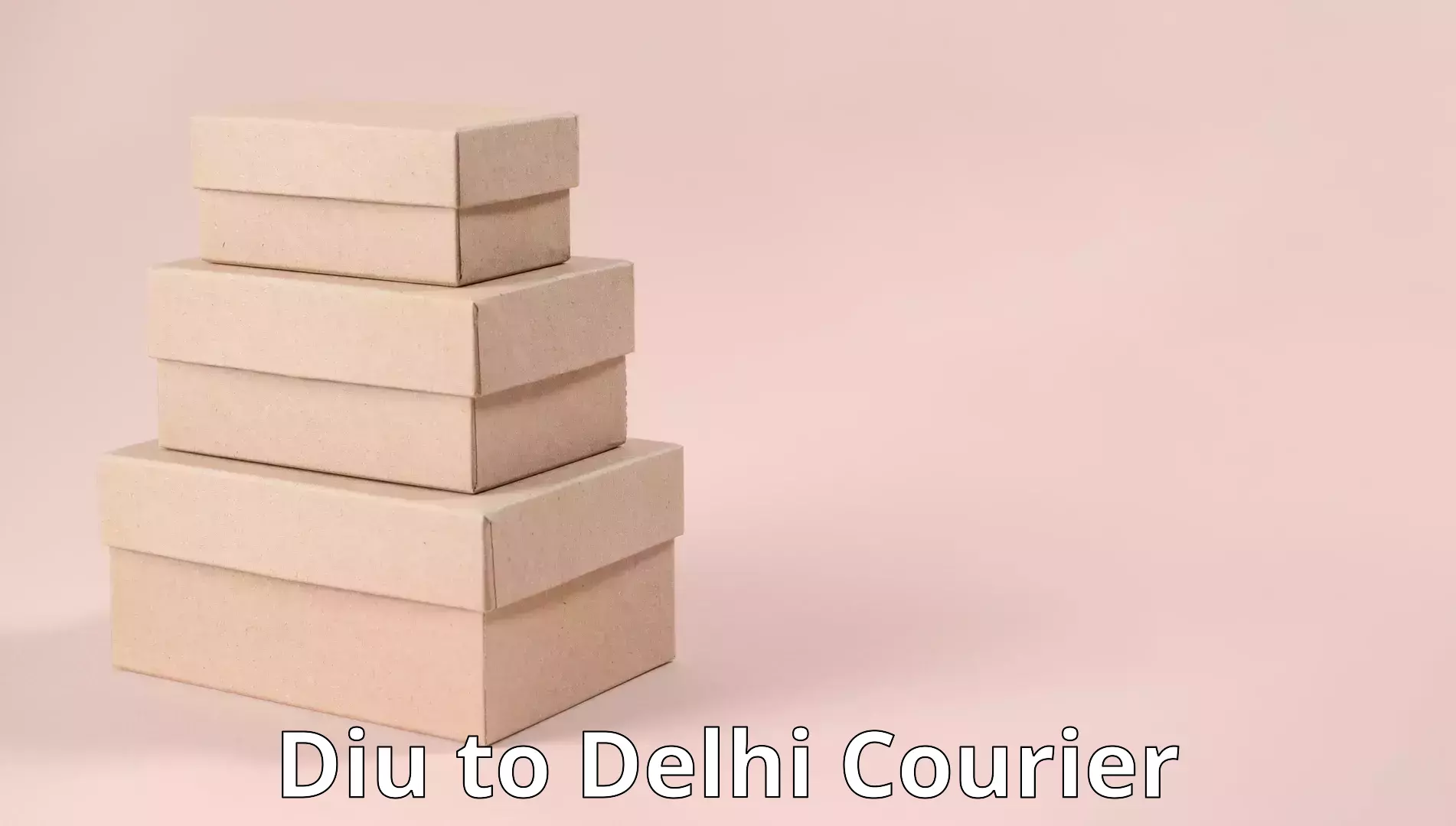 Online household goods transport Diu to IIT Delhi
