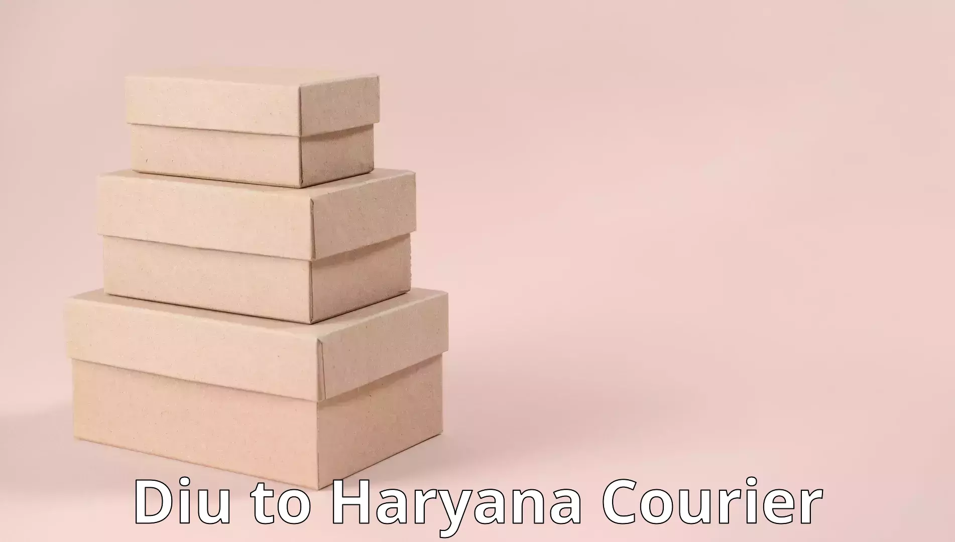 Furniture delivery service Diu to Haryana