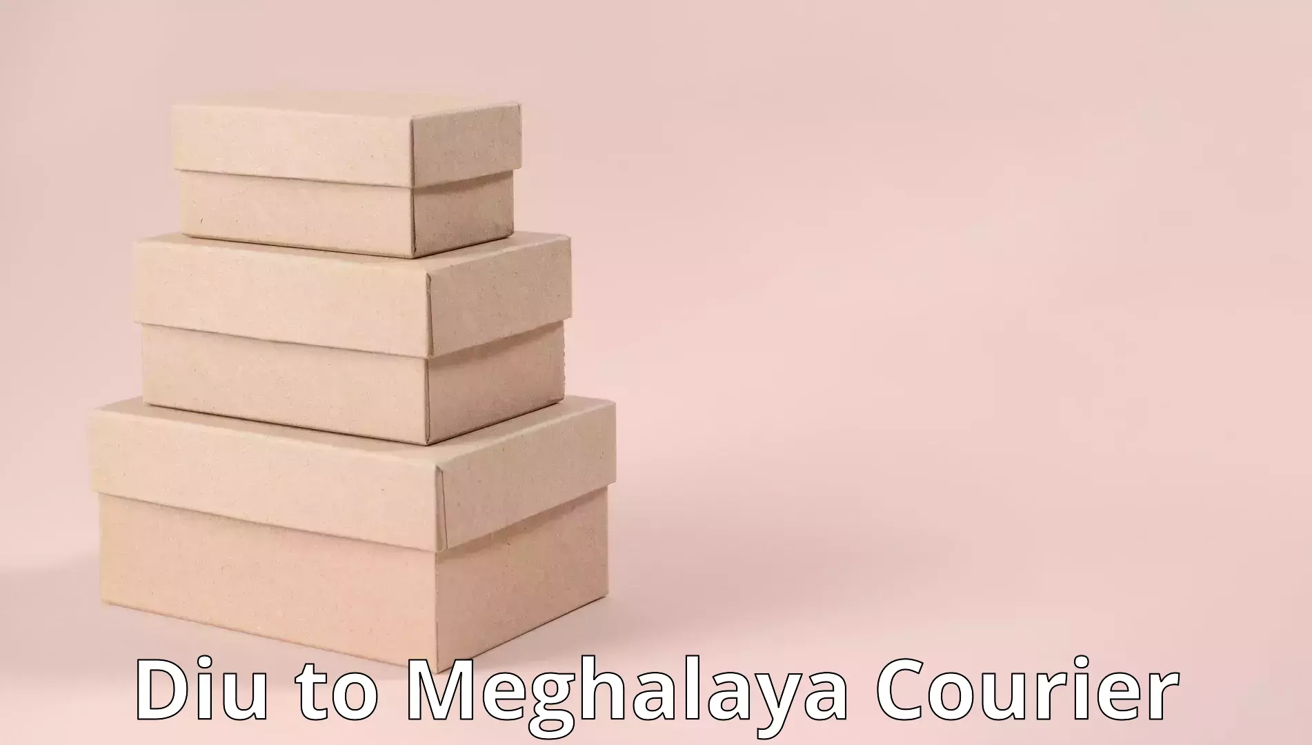Furniture shipping services in Diu to Meghalaya