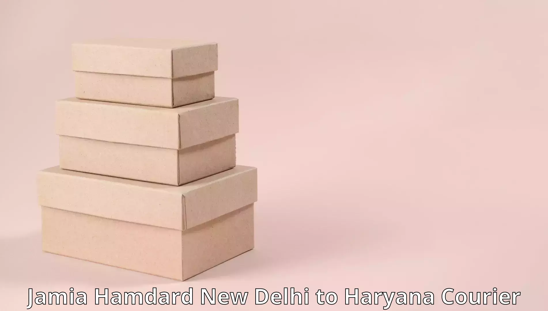 Efficient moving strategies Jamia Hamdard New Delhi to Mandi Dabwali