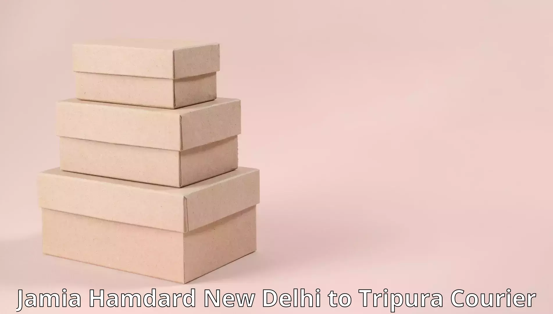 Reliable furniture movers Jamia Hamdard New Delhi to Amarpur Gomati