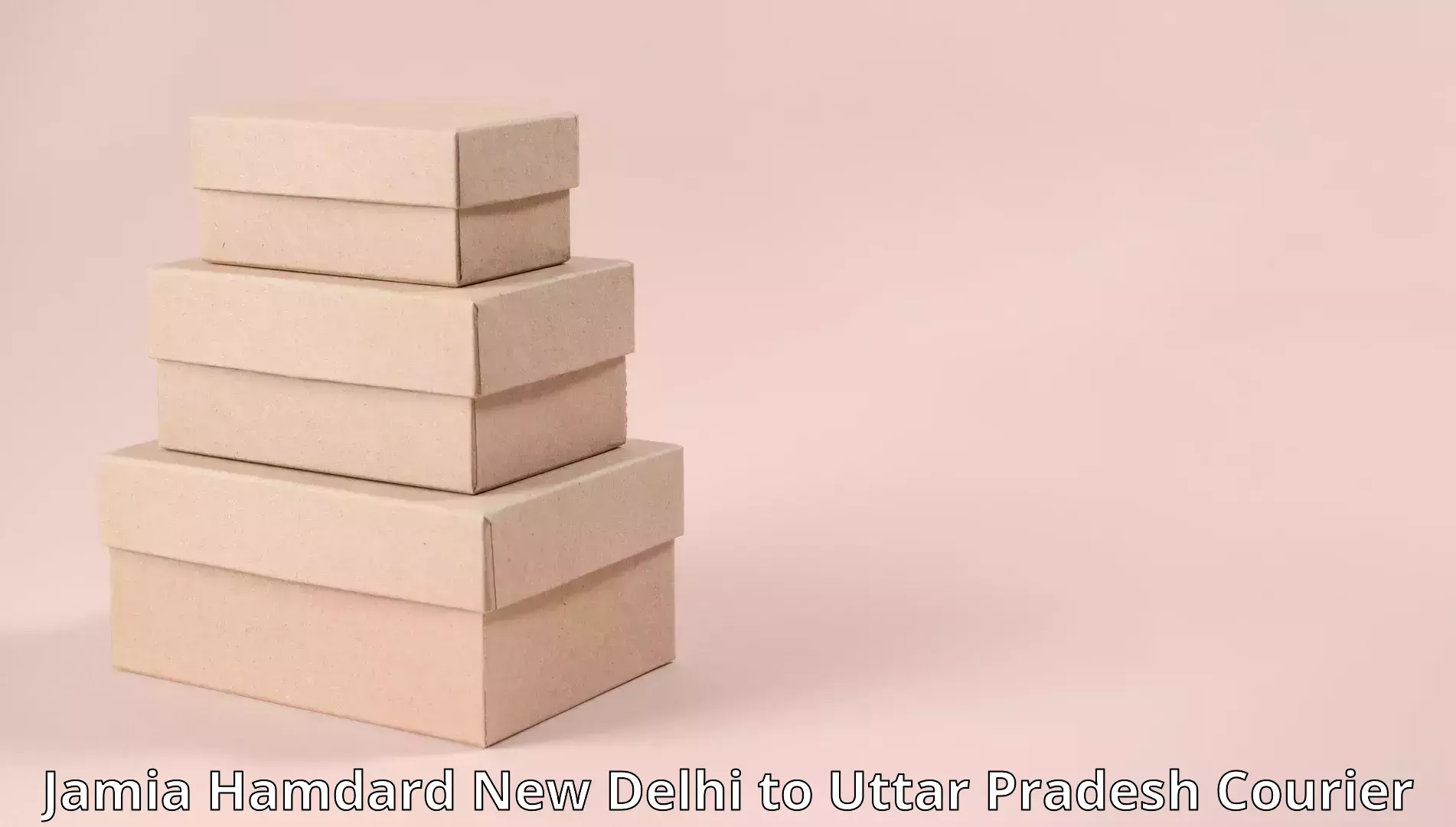 Skilled furniture movers Jamia Hamdard New Delhi to Utraula
