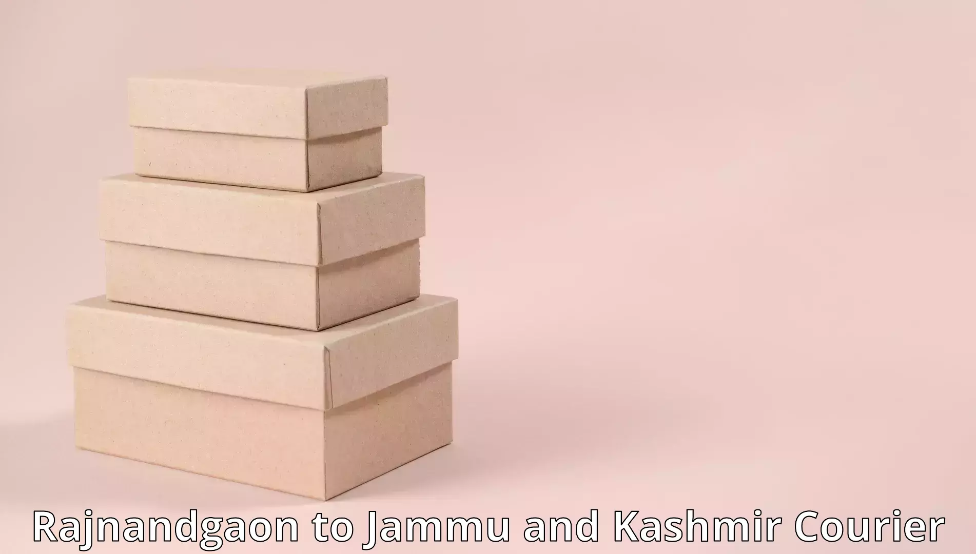 Professional furniture movers Rajnandgaon to Srinagar Kashmir