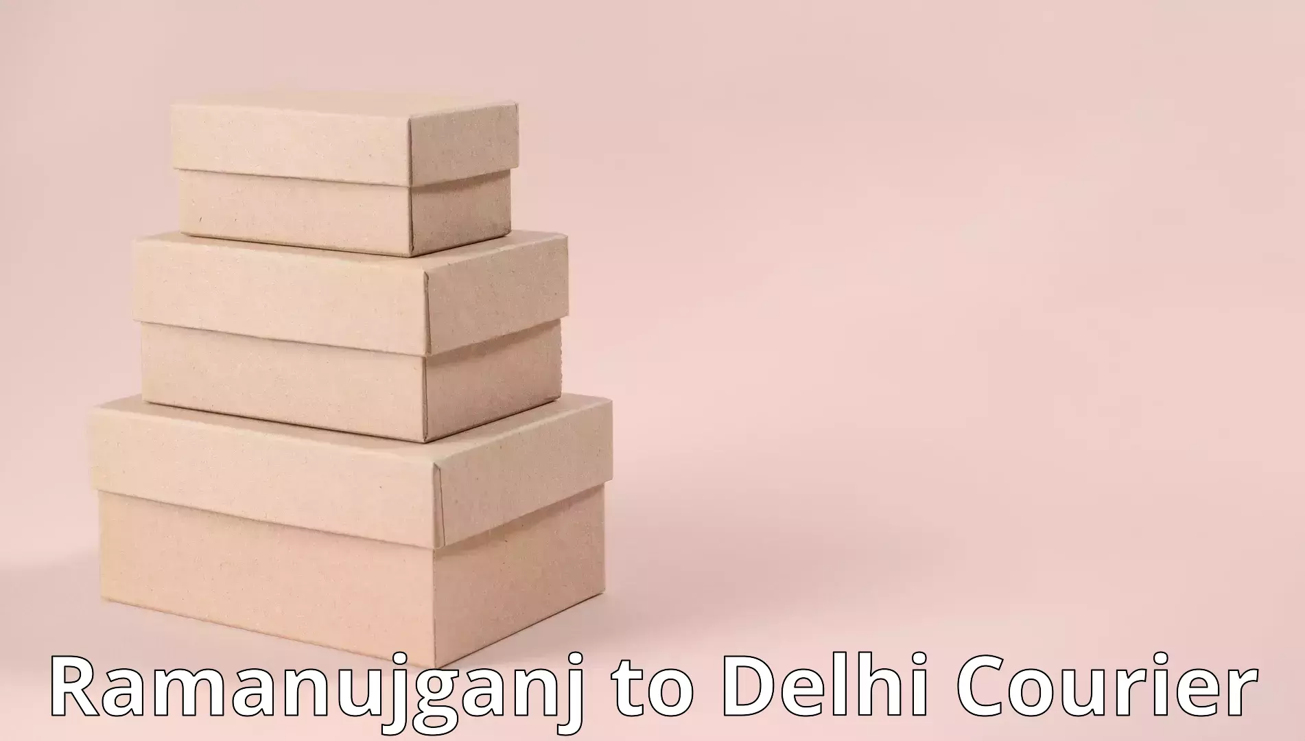 Furniture transport experts Ramanujganj to Delhi