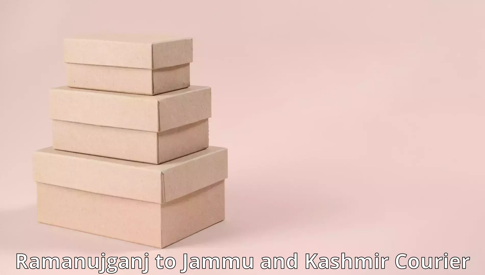 Quality furniture transport Ramanujganj to University of Jammu