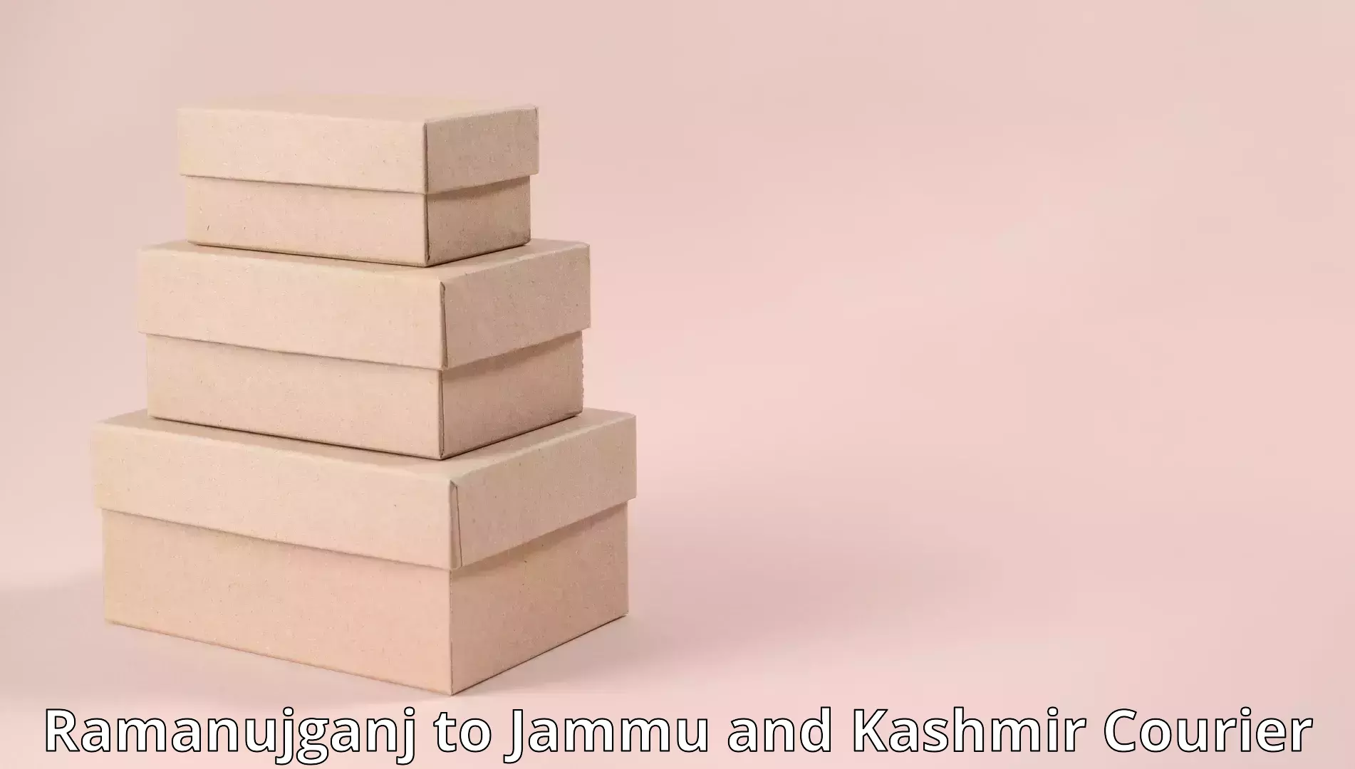 Stress-free household moving Ramanujganj to Srinagar Kashmir