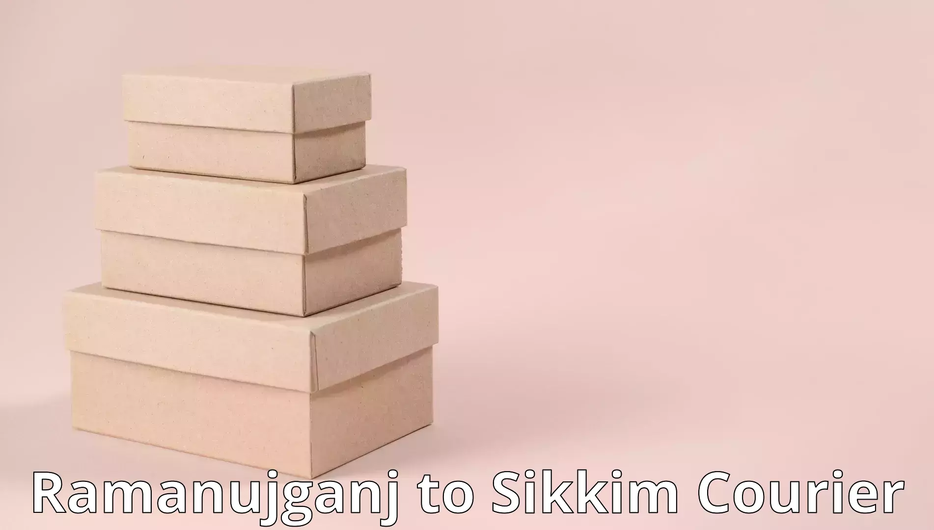 Household moving strategies Ramanujganj to South Sikkim